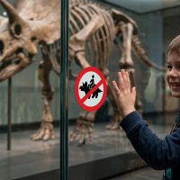 Dino Reitverbot