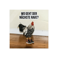 Wo geht der nächste Rave